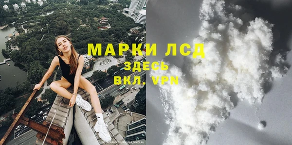 сатива Алзамай
