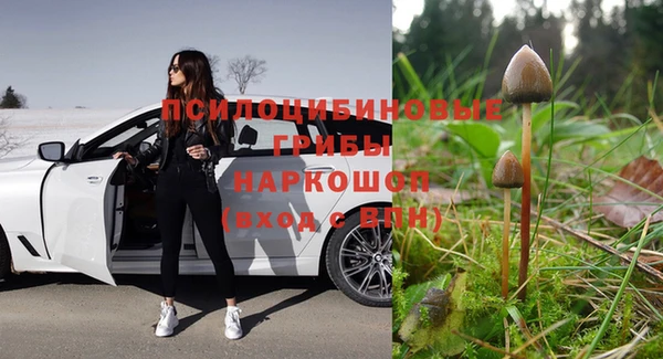 сатива Алзамай
