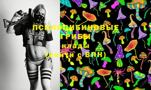 сатива Алзамай