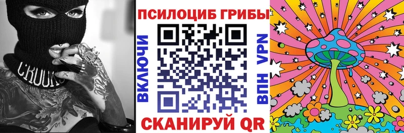 где купить наркоту  Краснообск  Псилоцибиновые грибы Psilocybine cubensis 